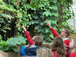 spotting tropical birds